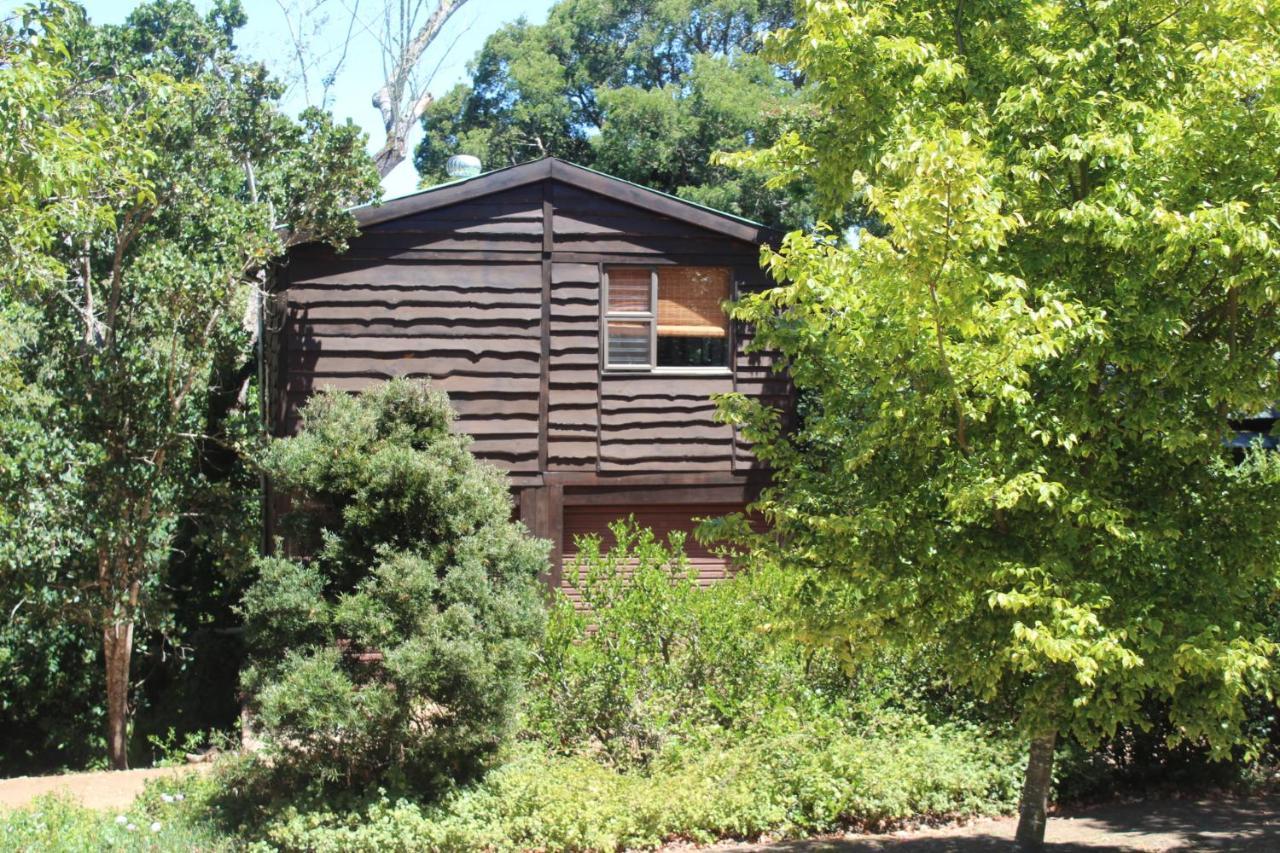 Treehouse Cottage The Crags ภายนอก รูปภาพ