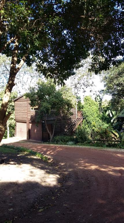 Treehouse Cottage The Crags ภายนอก รูปภาพ